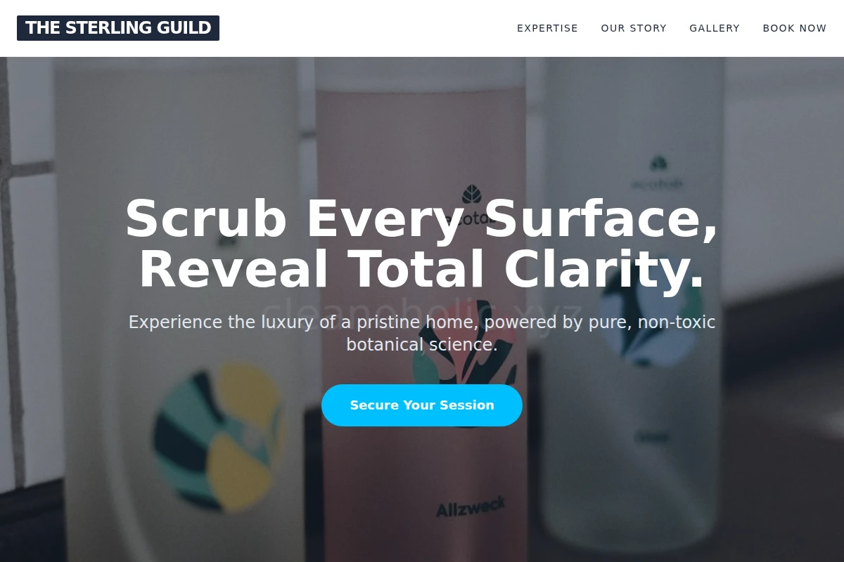Meticulous Green Cleaning