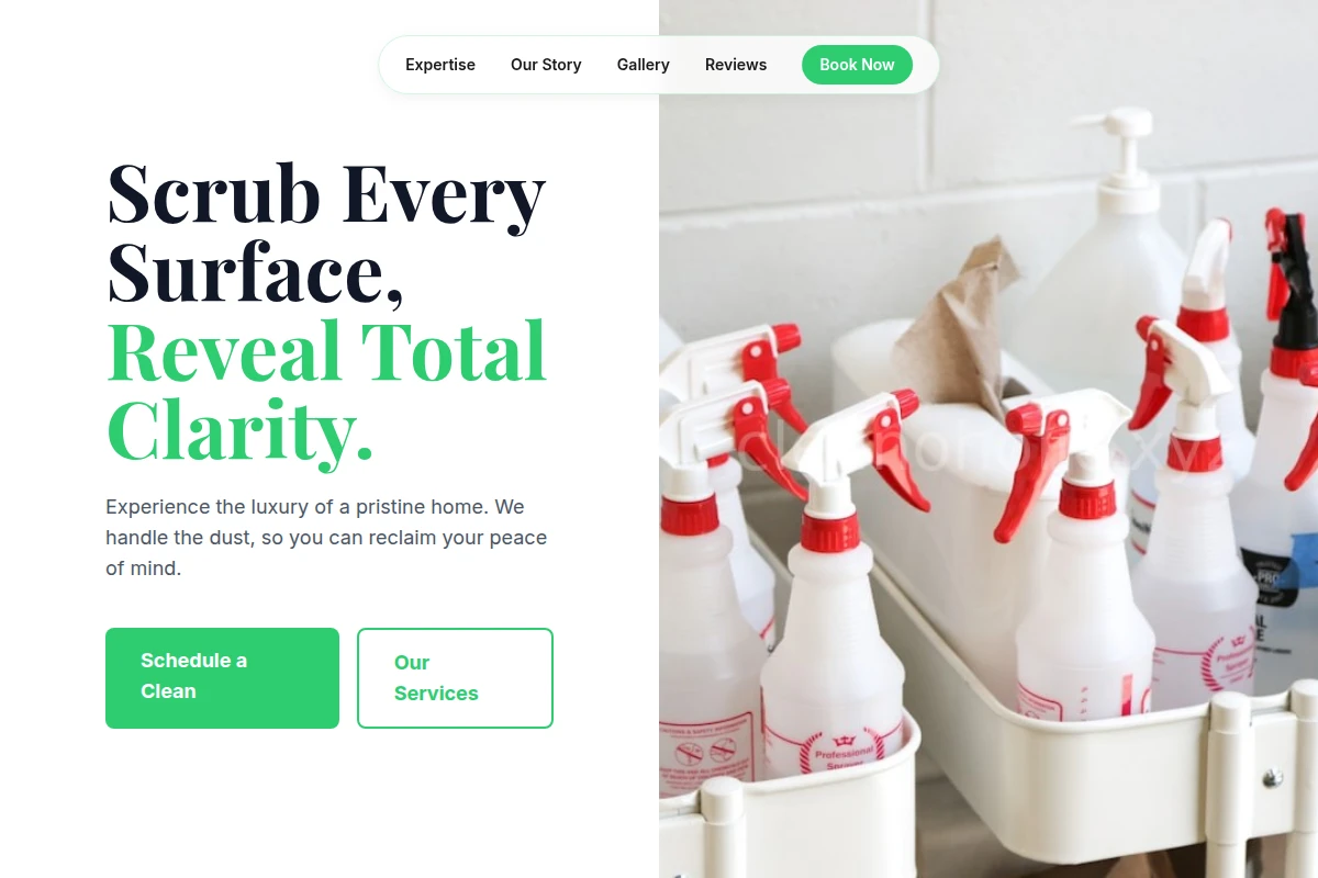 Dust House Cleaning